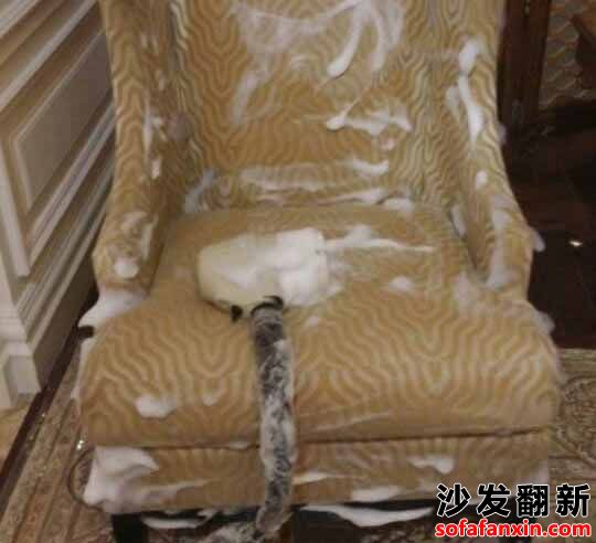 沙發(fā)的不正確清潔方式會(huì)加速織物的老化