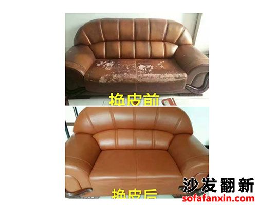 長沙芙蓉區沙發翻新換皮廠教您如何清除和治愈藏在沙發里的蟑螂？